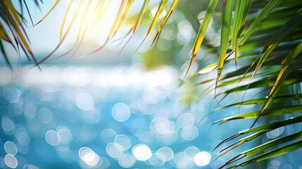 Poster - Panorama of blurred blue sky and sea with bokeh light and leaves of coconut palm tree Landscape of tropical summer Summer vacation concept : Generative AI