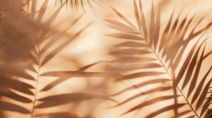 Aufkleber - Warm brown and beige summer color background with tropical palm shadow Two trend pastel paper and exotic plant shade layout Minimal flat lay with leaf silhouette overlay : Generative AI