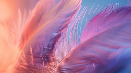 Aufkleber - India 8 July 2022  Feather background : Generative AI