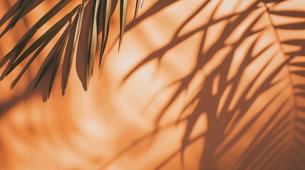 Aufkleber - Warm orange and beige summer color background with tropical palm shadow Two trend pastel paper and exotic plant shade layout Minimal flat lay with leaf silhouette overlay : Generative AI