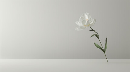 Minimalist plain white background for product photography with just one object as the highlight, A single flower in full bloom, with long stem and leaves