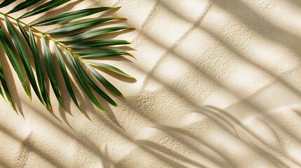 Aufkleber - Aesthetic Palm Leaf on Shadow on Sand Background Texture Copy Space Minimal Summer Concept : Generative AI