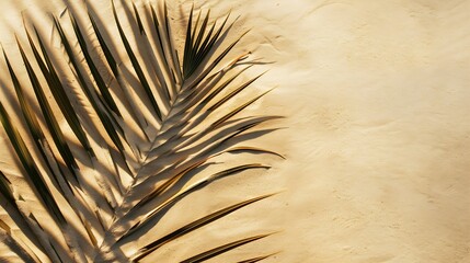 Aufkleber - Aesthetic Palm Leaf on Shadow on Sand Background Texture Copy Space Minimal Summer Concept : Generative AI