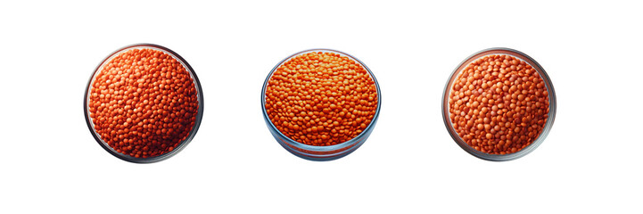 Wall Mural - Set of bowl of Red lentil, isolated over on transparent white background