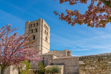 Wall Mural - view of the Zamora Cathedral and the Baltasar Lobo Gardens in springtime colours