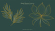 Luxury drawn floral leaves botanical gold line art set, Hand drawn leaves line Floral branch , luxury line art  on green luxury background, Vector illustration EPS 10