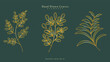 Luxury drawn floral leaves botanical gold line art set, Hand drawn leaves line Floral branch , luxury line art  on green luxury background, Vector illustration EPS 10