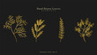 Luxury drawn floral leaves botanical gold line art set, Hand drawn leaves line Floral branch , luxury line art  on black background, Vector illustration EPS 10