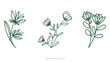 Luxury drawn floral leaves botanical gold line art set, Hand drawn leaves line Floral branch , luxury line art on white background, Vector illustration EPS 10