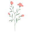 Flower. Wildflower branch. Spring summer delicate fragile flora. Floral flat hand drawn vector illustration on white background
