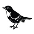 American Dipper bird icon vector  silhouette 