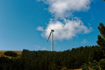 Wall Mural - Mountain panorama with turbines of a wind farm producing clean and sustainable electricity helping the environment and the earth.  Green ecological power energy generation. Wind farm eco field