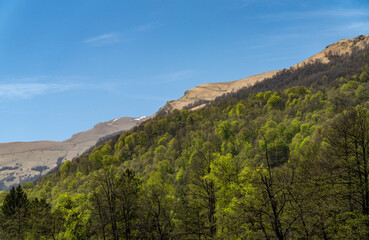 Wall Mural - landscape in the mountains