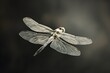 Porcelain Lightness in Flight A Dragonflys Surreal Dance Amidst HighContrast Darkness