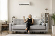© fizkes - Happy positive mature woman using AC remote control, starting cooling air conditioning split system at home, sitting cozy home couch, smiling, enjoying leisure, comfortable climate in apartment
