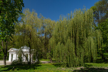 Wall Mural - Spring Park