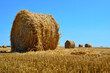 Round bales of straw lie in the field after harvesting