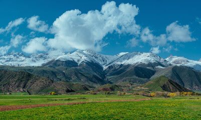 Sticker - Picturesque mountain valley with flowering meadow in springtime