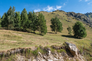 Wall Mural - landscape in the mountains