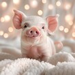 Adorable Baby Pig with Pink Ears in Soft Lighting