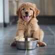 Cute Golden Retriever Puppy Sitting Next to a Food Bowl, Ready for Feeding Time