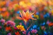 Vibrant Flower Bouquet in a Field of Multi-Colored Flowers, High Resolution Nature Photography