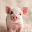 Adorable Newborn Piglet with Pink Ears