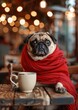 Adorable Pug in Winter Coat, Sitting at Cafe Table
