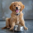 Adorable Golden Retriever Puppy Sitting Beside Metal Dog Food Bowl