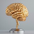 Golden Brain Trophy: Elegant Artwork for Corporate Gifts or Office Decor