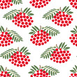 color isolated seamless pattern rowan berries in flat shape style in vector. template for backdrop textile wallpaper wrapping background print decor design