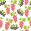 color isolated seamless pattern currant berries in flat shape style in vector. template for backdrop textile wallpaper wrapping background print decor design