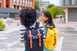 © unai - Multi-ethnic female students walking along an urban campus