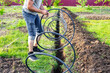 man places a plastic pipe on top of a dug ditch to supply water to a drip irrigation system. Installation of automatic drip irrigation for the garden.