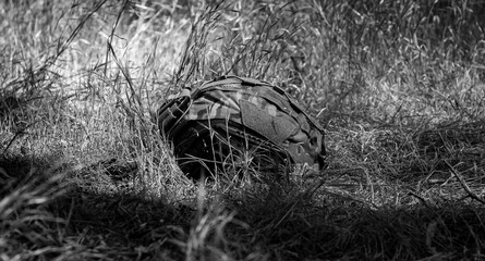 Tactical armored helmet with MultiCam color visor on the ground in the forest.
Military themes, protection of life.
War in Ukraine
Black and white photo