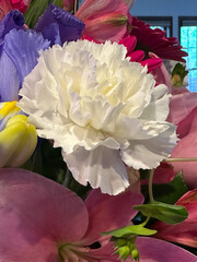 Wall Mural - Closeup of white carnation in a red, white, and blue flower bouquet