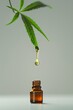 bottle of oil with a drop of oil on it and a green cannabis leaf hanging from it's top