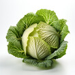 A photorealistic a head of white cabbage photo_of 3d render isolated
