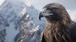 Close-up of an eagle against the backdrop of snow-covered mountains in winter. generative AI image