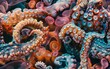 Immerse in a coral reef teeming with shimmering illusions, an octopus morphs into emotions, captured from a dizzying overhead angle