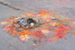 Ashes Left After Worship (Puja) with Flowers, Colour Powder and Drawings on the Ground