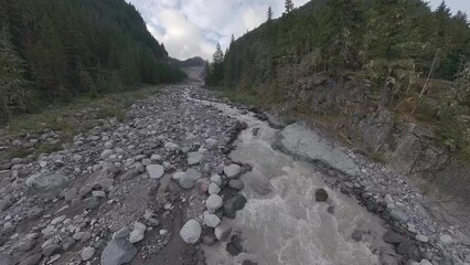 Poster - Strong flow of carbon river running through Mount Rainier National Park