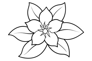 Sticker - jasmine flower vector illustration