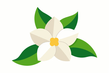 Sticker - jasmine flower vector illustration