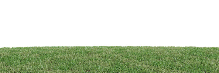 Wall Mural - Meadow cut out on transparent background 3d rendering
