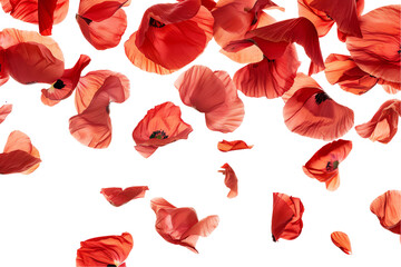 Wall Mural - poppy flowers seamless pattern