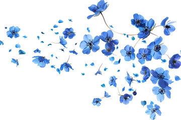 Wall Mural - blue forget-me-not flowers decoration in floral design flowers petals flying