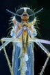 Microscopic Analysis of a Mosquitos Proboscis A CloseUp Examination of a Tiny of Disease