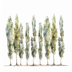 Watercolor painting of a serene row of poplar trees with their tall, straight trunks and shimmering leaves, Generative AI