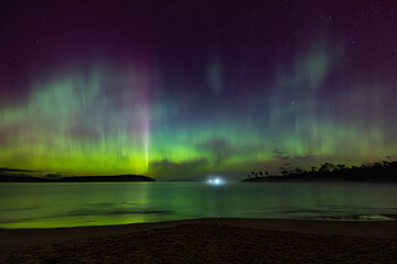 Wall Mural - aurora in tasmania